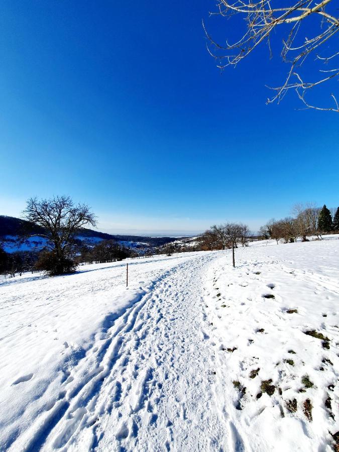 Ferienwohnung Am Musbach In Badenweiler-Sehringen ภายนอก รูปภาพ