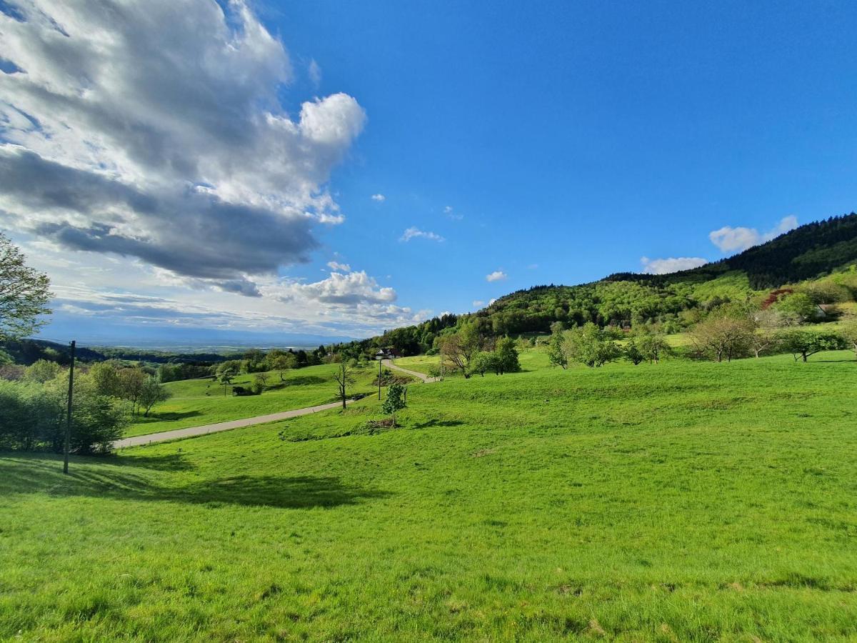 Ferienwohnung Am Musbach In Badenweiler-Sehringen ภายนอก รูปภาพ